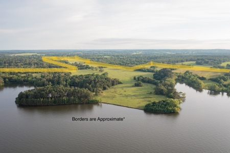 Large Waterfront Acreage Tract For Sale On Lake Palestine - image 3