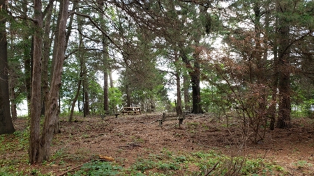 Large Waterfront Acreage Tract For Sale On Lake Palestine - image 31
