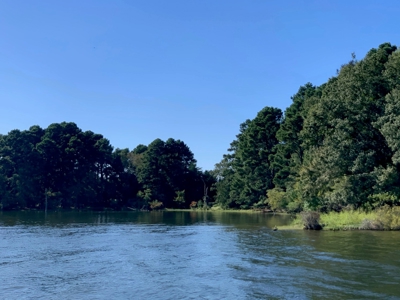 Large Waterfront Acreage Tract For Sale On Lake Palestine - image 38