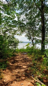 Large Waterfront Acreage Tract For Sale On Lake Palestine - image 30