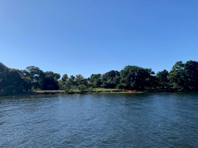 Large Waterfront Acreage Tract For Sale On Lake Palestine - image 35