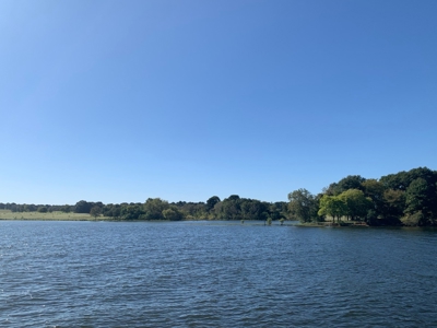 Large Waterfront Acreage Tract For Sale On Lake Palestine - image 36