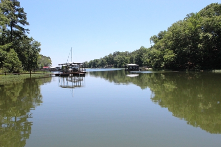 Lake Eufaula Waterfront Home For Sale in Henry County, AL - image 1