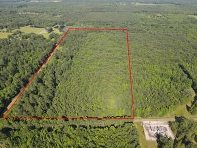 East Texas Hunting Land and Homesite Location for sale - image 8