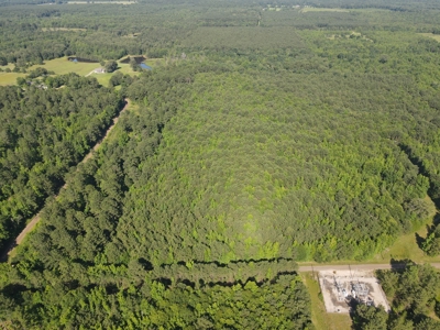 East Texas Hunting Land and Homesite Location for sale - image 2