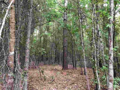 East Texas Hunting Land and Homesite Location for sale - image 6