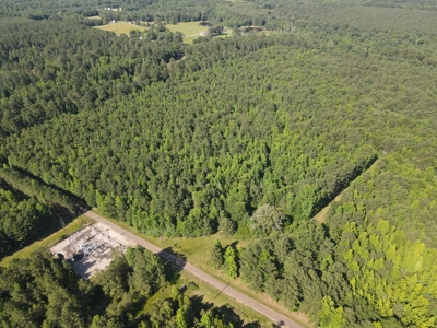 East Texas Land For Sale Timberland and Recreational - image 4
