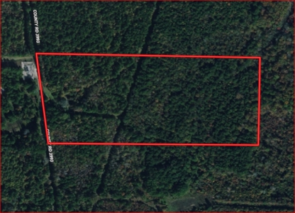 East Texas Land For Sale Timberland and Recreational - image 8