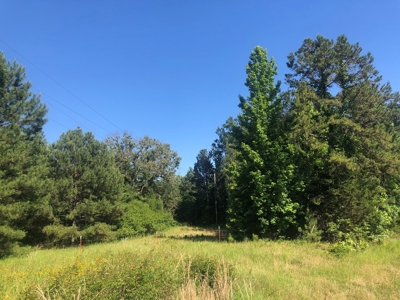 East Texas Land For Sale Timberland and Recreational - image 2