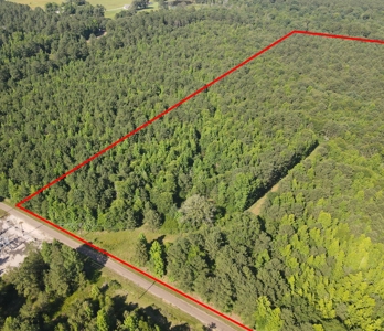 East Texas Land For Sale Timberland and Recreational - image 9