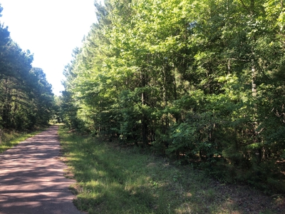 East Texas Land For Sale Timberland and Recreational - image 3