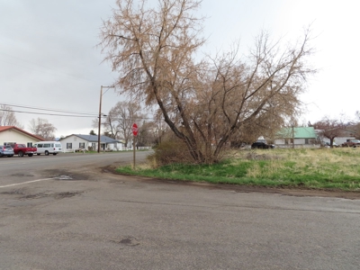 Commercial Lot in Town of Cedarville, Ca. Opportunity knocks - image 2