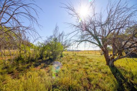 Fixer Upper Farmhouse For Sale in Lewis, CO! - image 9