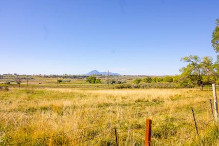 Fixer Upper Farmhouse For Sale in Lewis, CO! - image 13