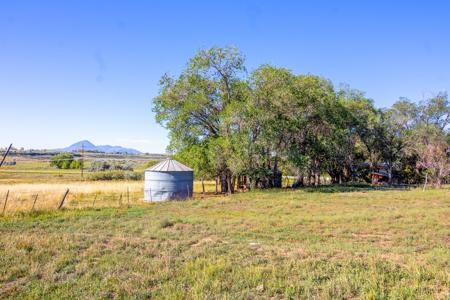 Fixer Upper Farmhouse For Sale in Lewis, CO! - image 14