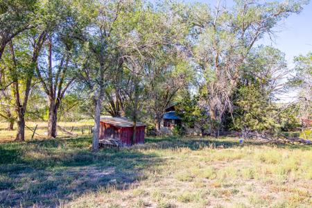 Fixer Upper Farmhouse For Sale in Lewis, CO! - image 10