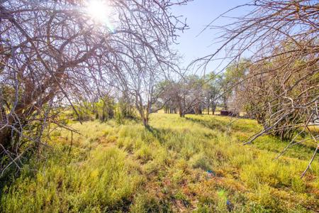 Fixer Upper Farmhouse For Sale in Lewis, CO! - image 8