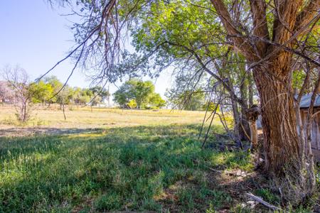 Fixer Upper Farmhouse For Sale in Lewis, CO! - image 11