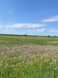 Under Contract -- Tract 1 80+/- Acres Holt County, MO - image 3