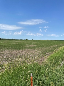 Under Contract -- Tract 1 80+/- Acres Holt County, MO - image 4