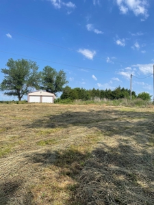Under Contract -- Tract 2 80+/- Acres Holt County, MO - image 14