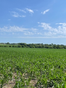 Under Contract -- Tract 3 101+/- Acres Holt County, MO - image 3
