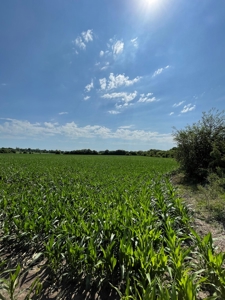 Under Contract -- Tract 3 101+/- Acres Holt County, MO - image 6