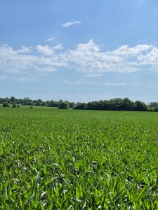 Under Contract -- Tract 3 101+/- Acres Holt County, MO - image 4