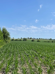 Under Contract -- Tract 3 101+/- Acres Holt County, MO - image 2