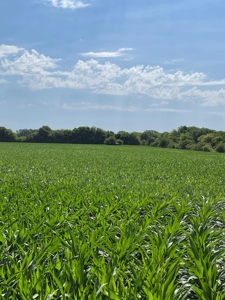 Under Contract -- Tract 3 101+/- Acres Holt County, MO - image 5