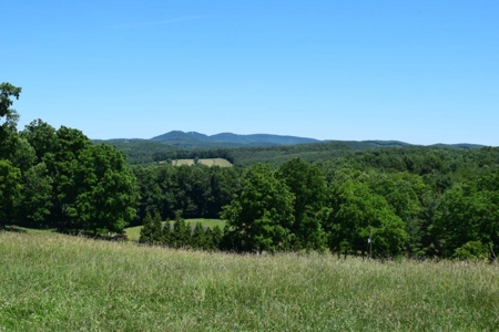 Farmland for Sale in Floyd VA - image 17