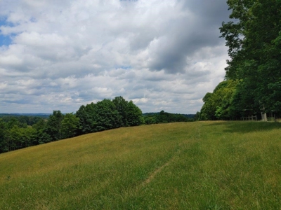 Farmland for Sale in Floyd VA - image 21