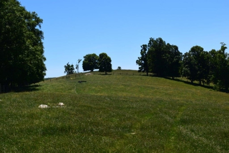 Farmland for Sale in Floyd VA - image 3