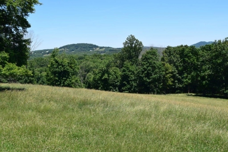 Farmland for Sale in Floyd VA - image 13