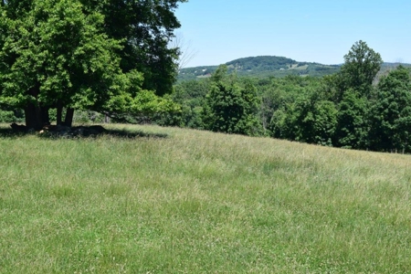 Farmland for Sale in Floyd VA - image 12