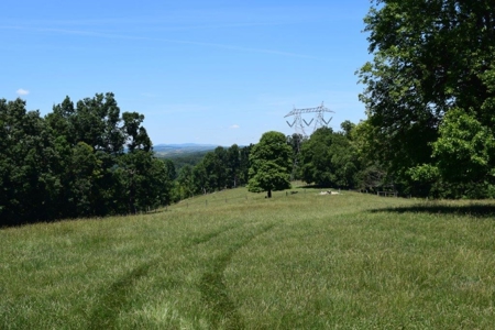 Farmland for Sale in Floyd VA - image 14