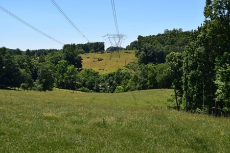 Farmland for Sale in Floyd VA - image 2
