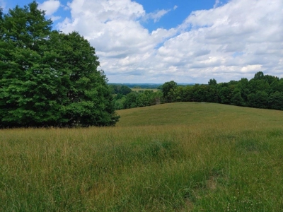 Farmland for Sale in Floyd VA - image 23