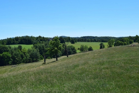 Farmland for Sale in Floyd VA - image 11