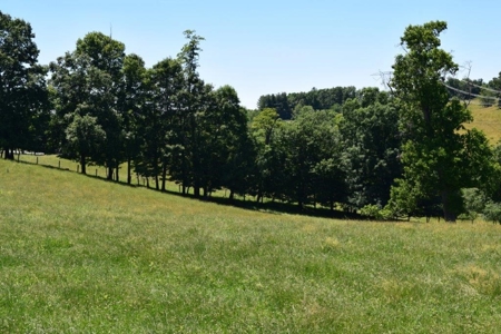 Farmland for Sale in Floyd VA - image 6