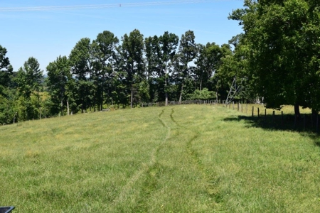 Farmland for Sale in Floyd VA - image 7