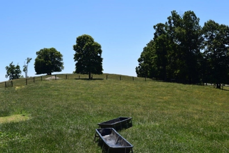 Farmland for Sale in Floyd VA - image 4