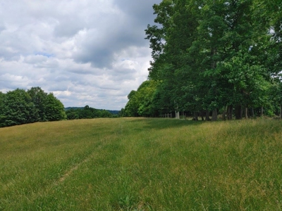 Farmland for Sale in Floyd VA - image 19
