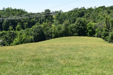 Farmland for Sale in Floyd VA - image 5