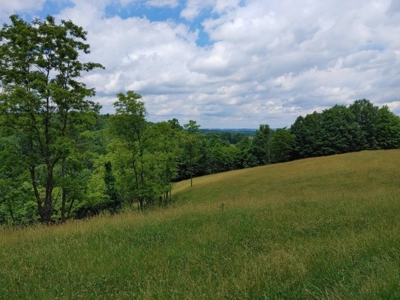 Farmland for Sale in Floyd VA - image 22