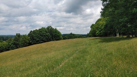 Farmland for Sale in Floyd VA - image 18
