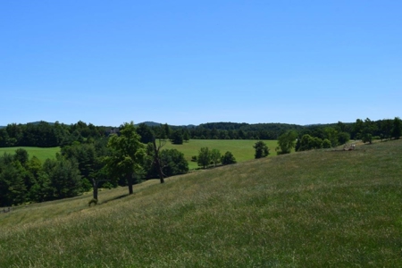 Farmland for Sale in Floyd VA - image 16