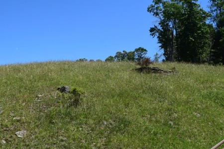 Farmland for Sale in Floyd VA - image 1