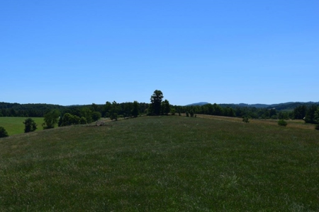 Farmland for Sale in Floyd VA - image 10