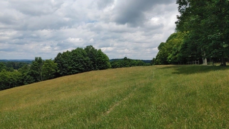 Farmland for Sale in Floyd VA - image 20